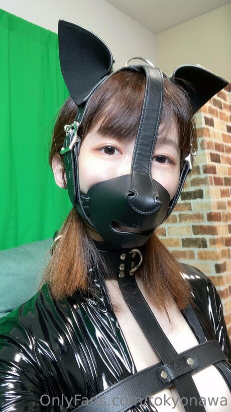 Foto di nudo di fuga di OnlyFans di Tokyonawa