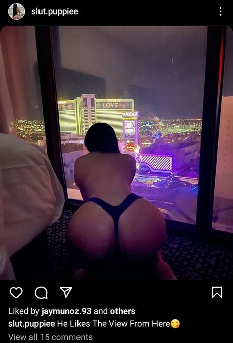 Foto di nudo di fuga di OnlyFans di Slut Puppie