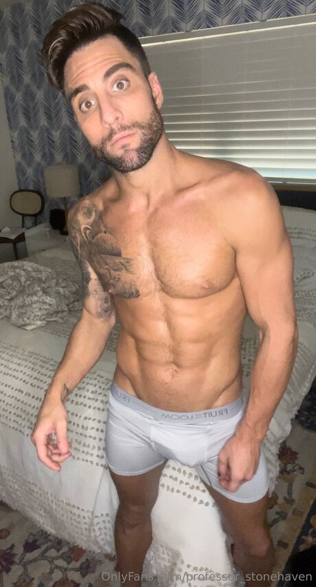 Professor Stonehaven