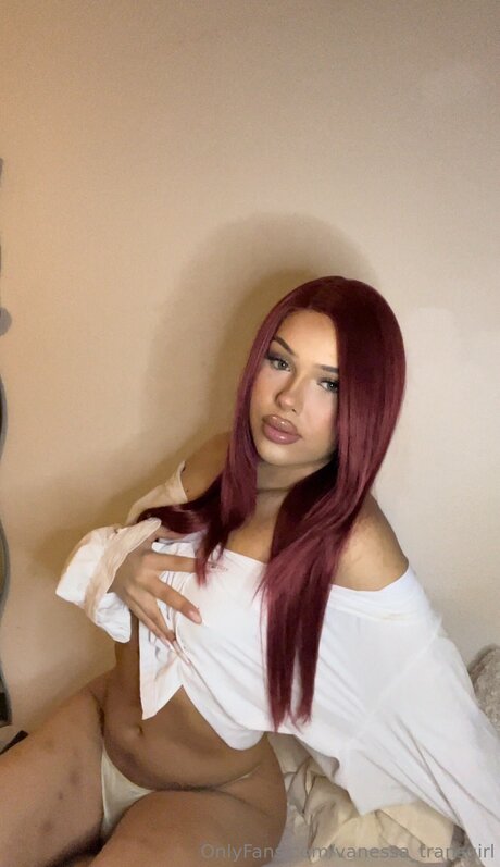 Foto di nudo di fuga di OnlyFans di Vanessa Transgirl