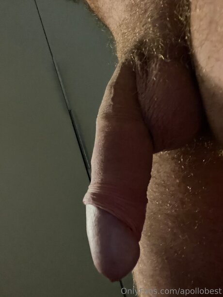 Foto di nudo di fuga di OnlyFans di Apollobest