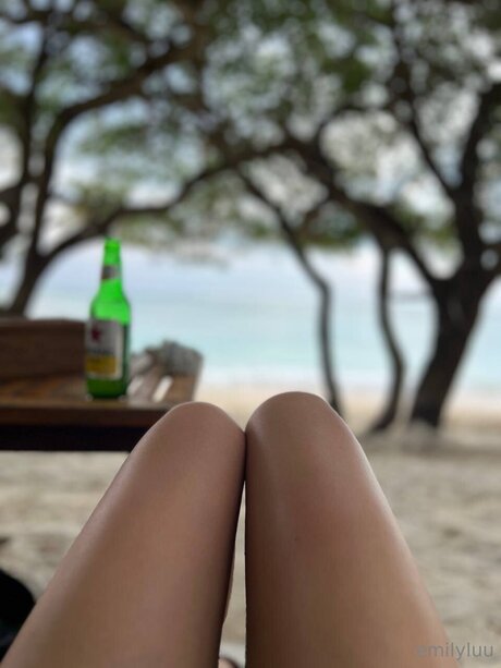 Foto di nudo di fuga di OnlyFans di Emilylu