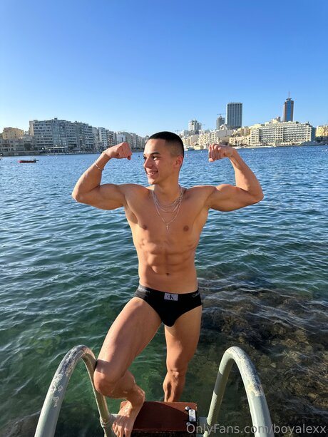 Boyalexx