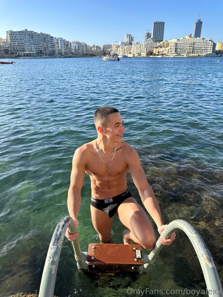 Boyalexx