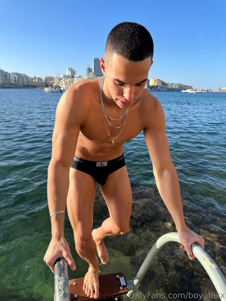 Boyalexx