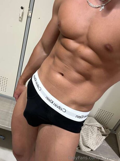 Boyalexx