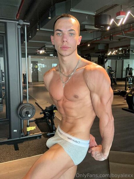 Boyalexx