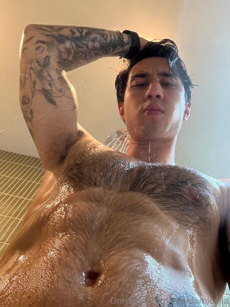 Foto di nudo di fuga di OnlyFans di Evanlamicella