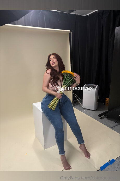 Chimocurves