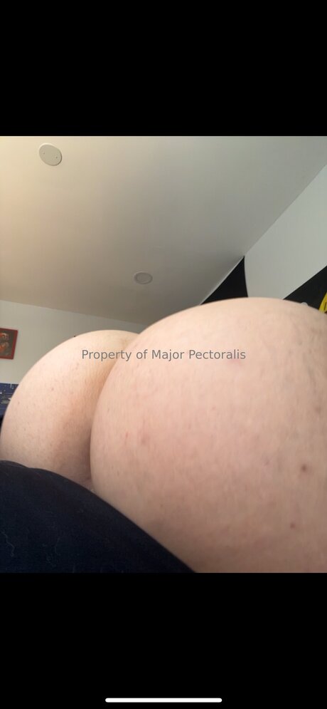 Foto di nudo di fuga di OnlyFans di Majorpectoralis