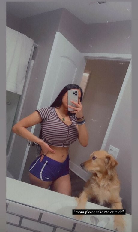 Noheli 
