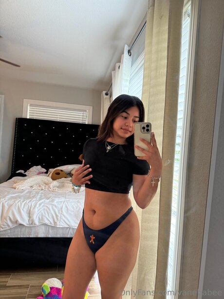 Foto di nudo di fuga di OnlyFans di Vanebabee