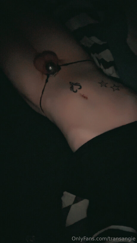 Transangie