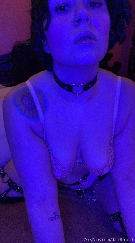 Foto di nudo di fuga di OnlyFans di Dandicandi