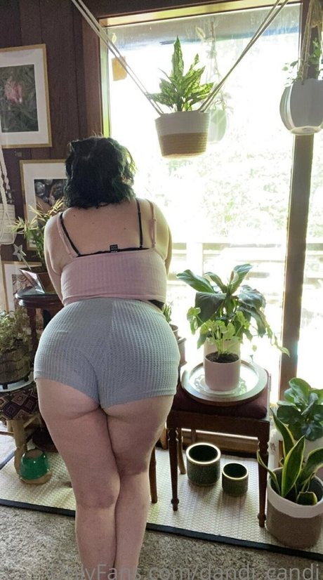 Foto di nudo di fuga di OnlyFans di Dandicandi