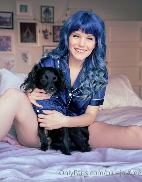 Bluejayfree