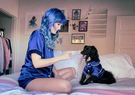 Bluejayfree