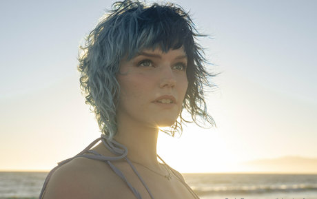 Bluejayfree