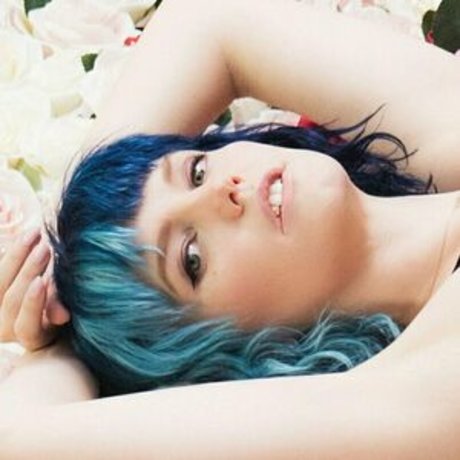 Bluejayfree