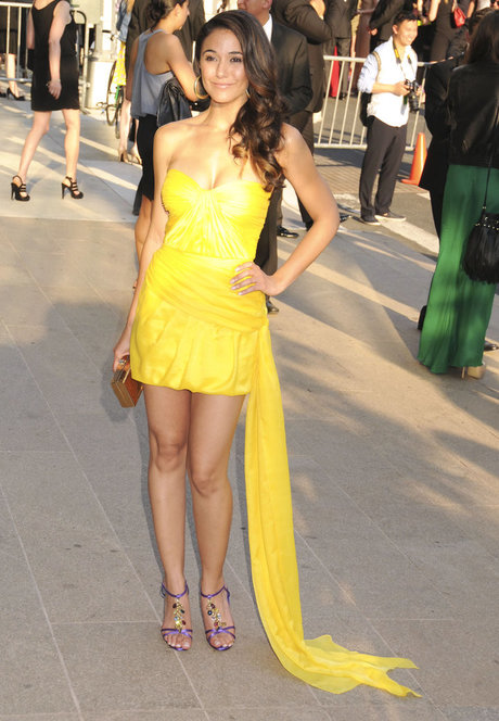 Emmanuelle Chriqui
