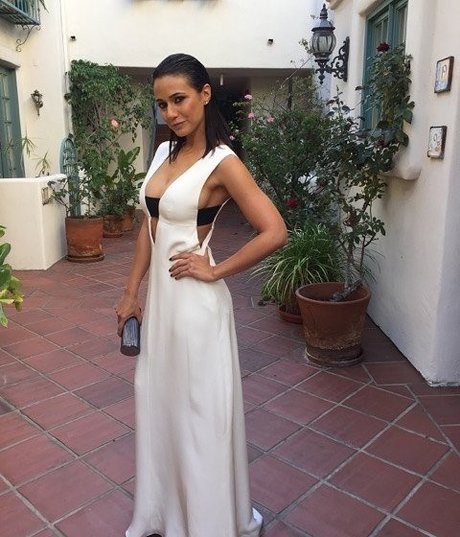 Foto di nudo di fuga di OnlyFans di Emmanuelle Chriqui