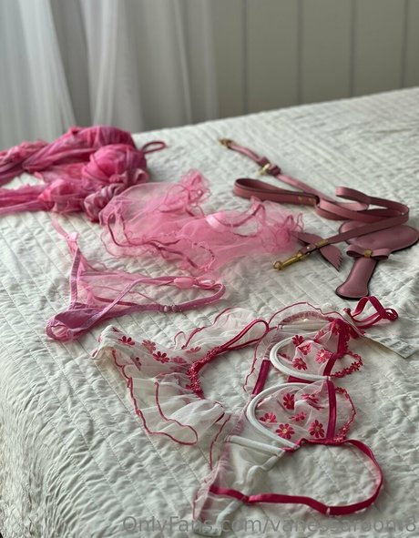Vanessaroom8