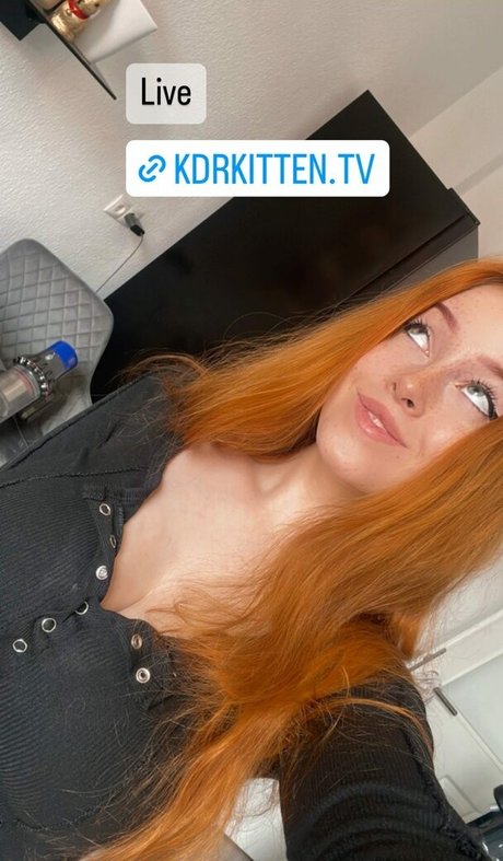 Kdrkitten