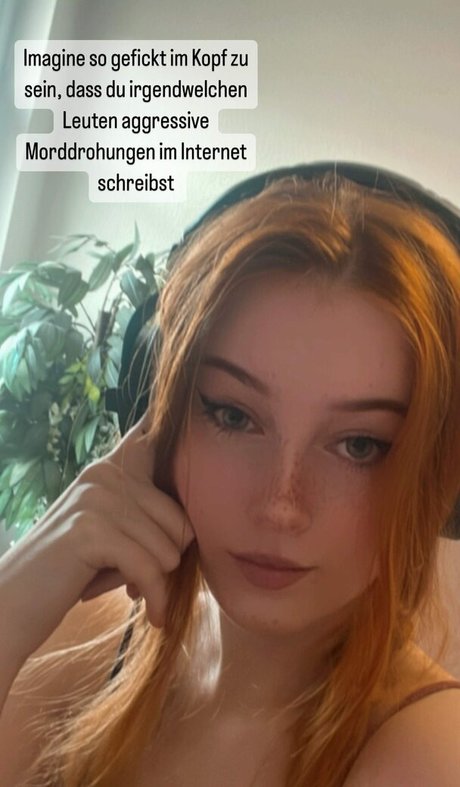 Kdrkitten
