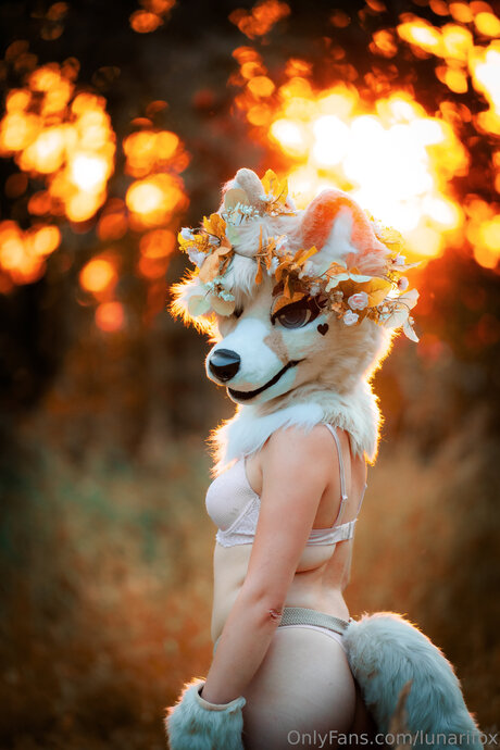 Lunarifox