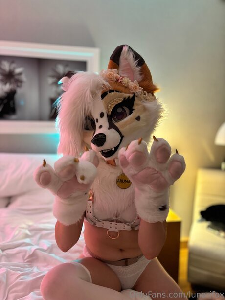 Lunarifox