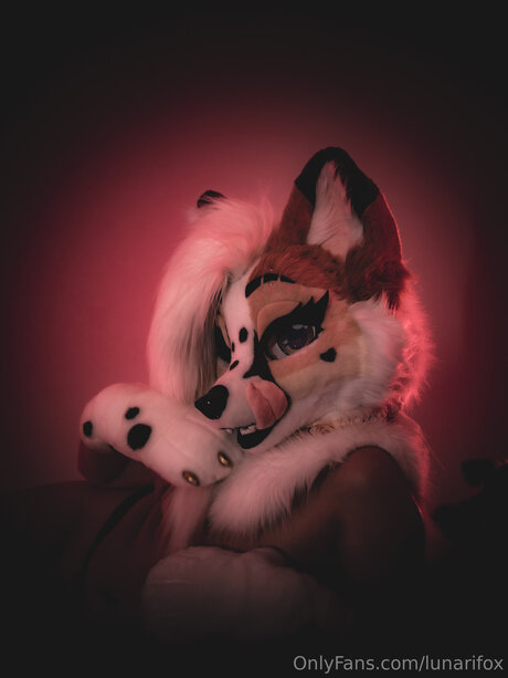 Lunarifox