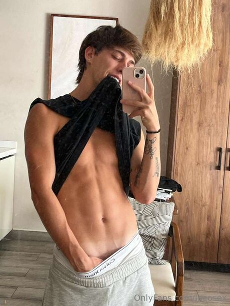 Leeosex