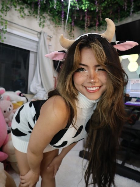 Angelicat