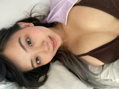 Harriet Sugarcookie