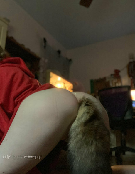 Dxmbpup