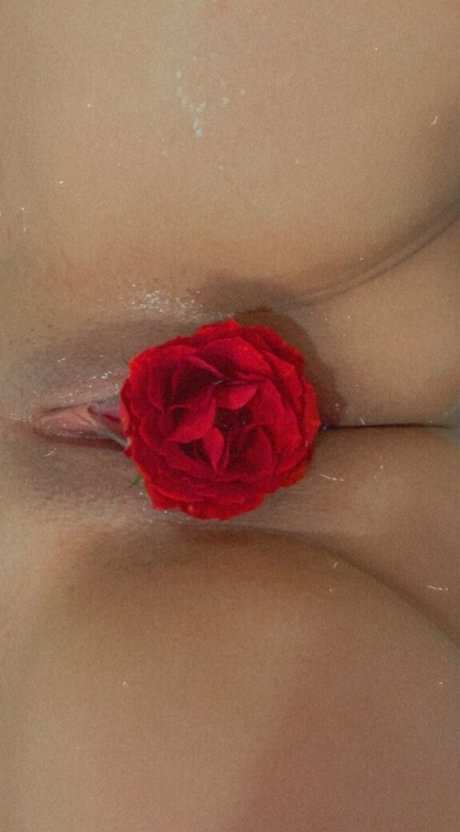 Breed Me Please