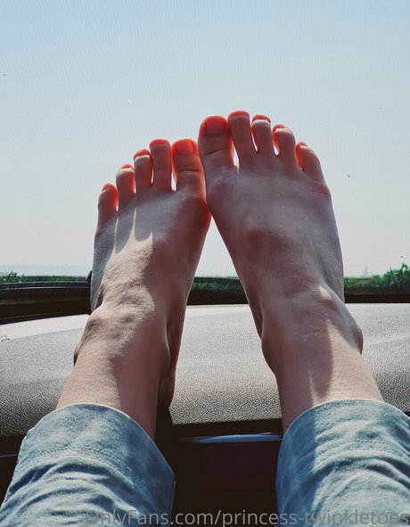 Princesstwinkletoes