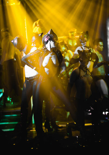 Gogo Stripper