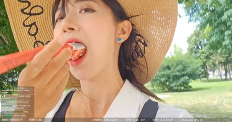 Jinnytty