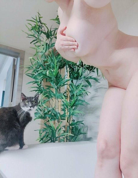 Mikomihokina