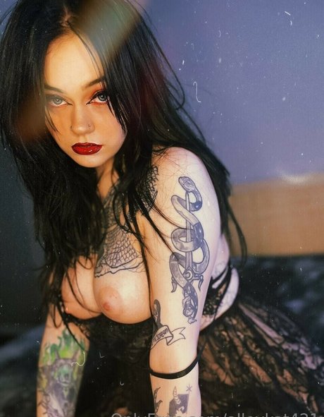 Foto di nudo di fuga di OnlyFans di Alleykat