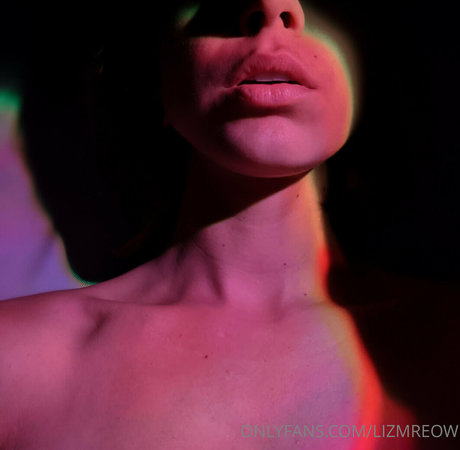 Foto di nudo di fuga di OnlyFans di Lizmreow