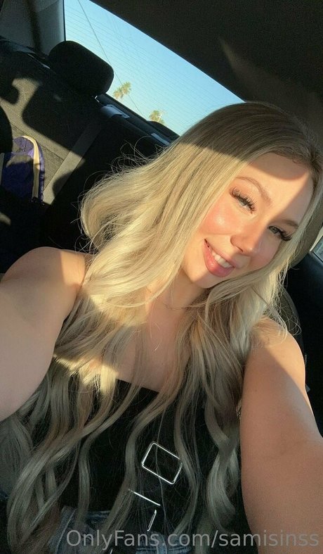 Samisinss