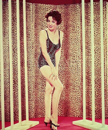 Vintage Sexy Celebs