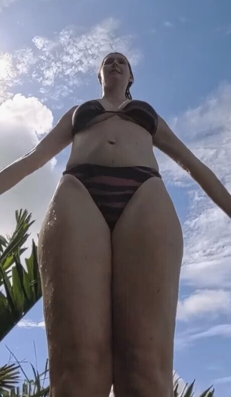 Sabibo