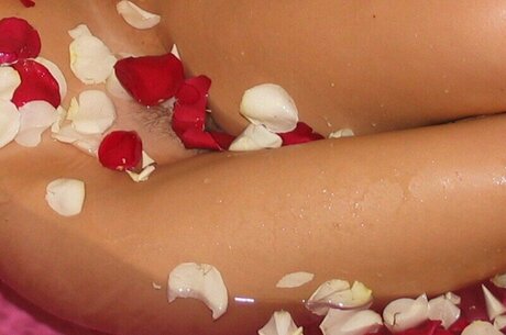 Southerncharms Reese