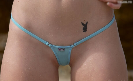 Microminimus & Wicked Weasel Models