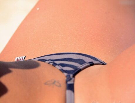 Microminimus Amp Wicked Weasel Models