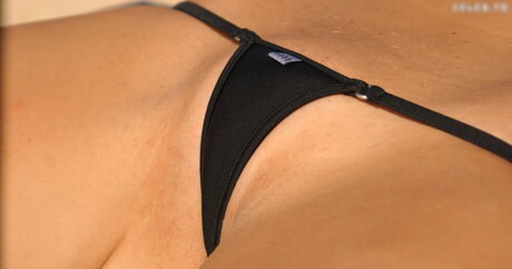 Microminimus & Wicked Weasel Models