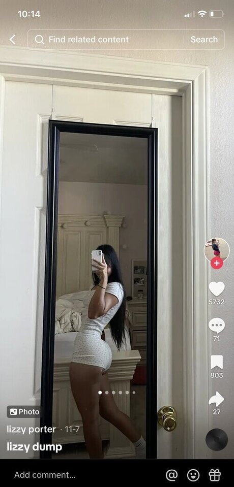 Thelizzyporter